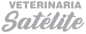 Logo de Personaliza